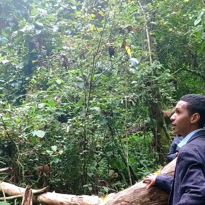 HT looking up at lemurs in the forest canopy